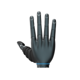 DH116SRS-RG1 Mini Dexterous Hand | 11-DOF Humanoid Robotic Hand with RS485 Communication