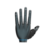 DH116SRS-LG1 Mini Dexterous Hand | 11-DOF Humanoid Robotic Hand with RS485 Communication